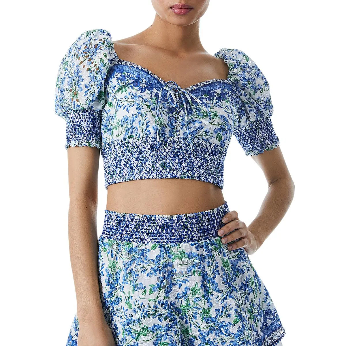 Alice and Olivia Womens Smocked Eyelet Cropped