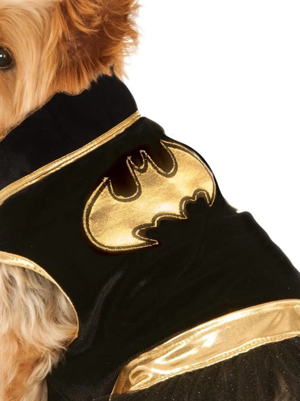 Batgirl Pet Tutu Dress - Warner Bros DC Comics