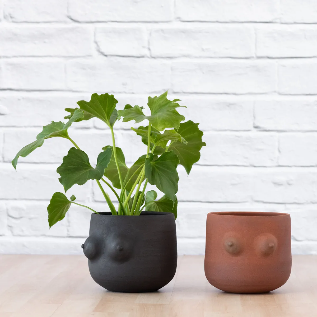 Boob Planter - Black Clay