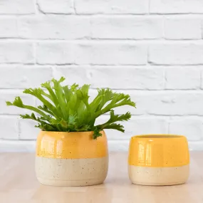 Caxi Planter - Yellow