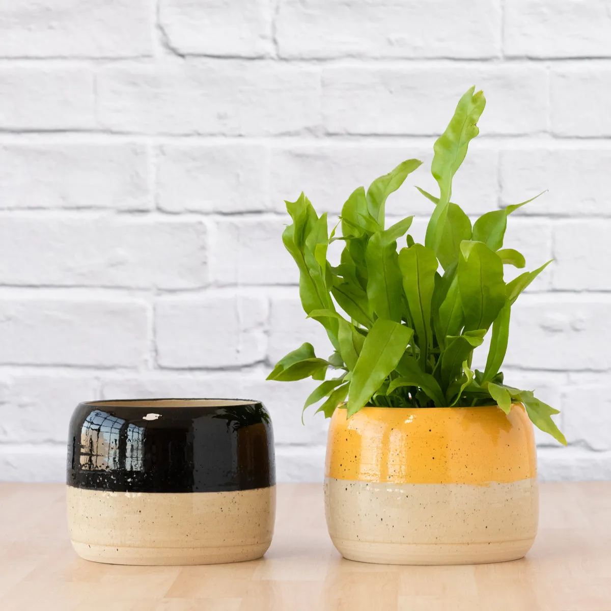 Caxi Planter - Yellow