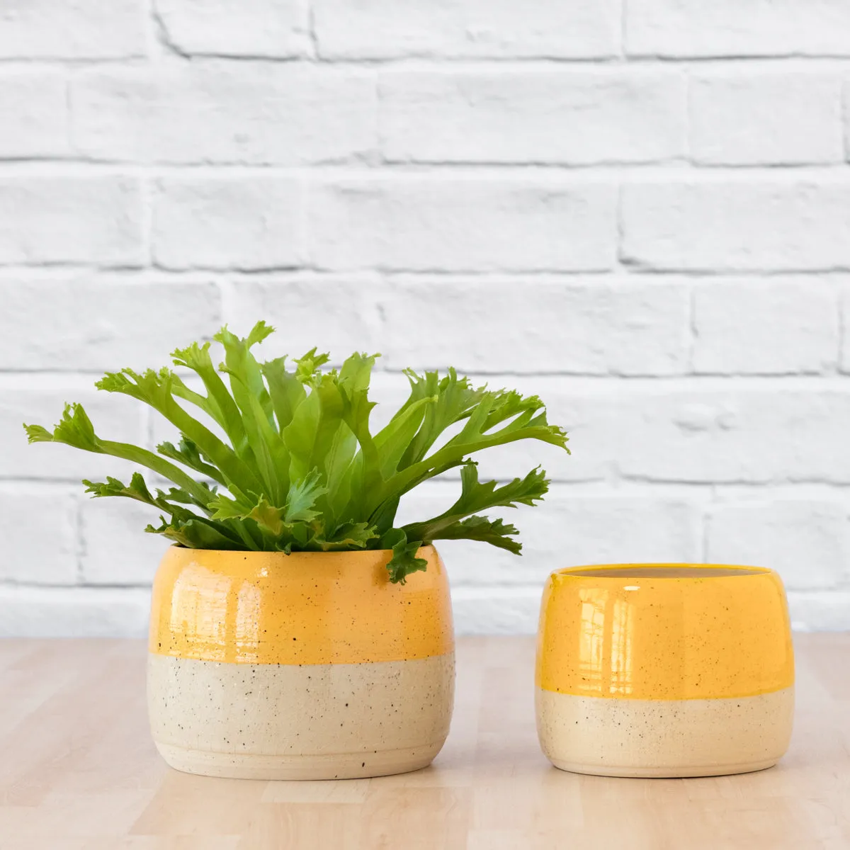 Caxi Planter - Yellow