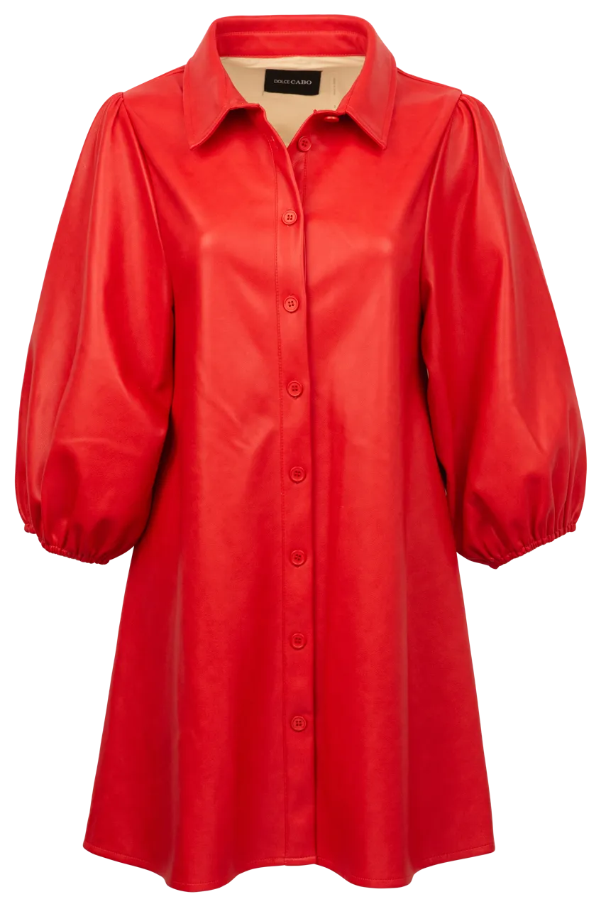 Dolce Cabo Vegan Leather Shirt Dress