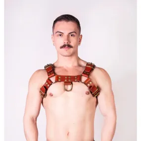 Prowler RED Leather Butch Harness Brown
