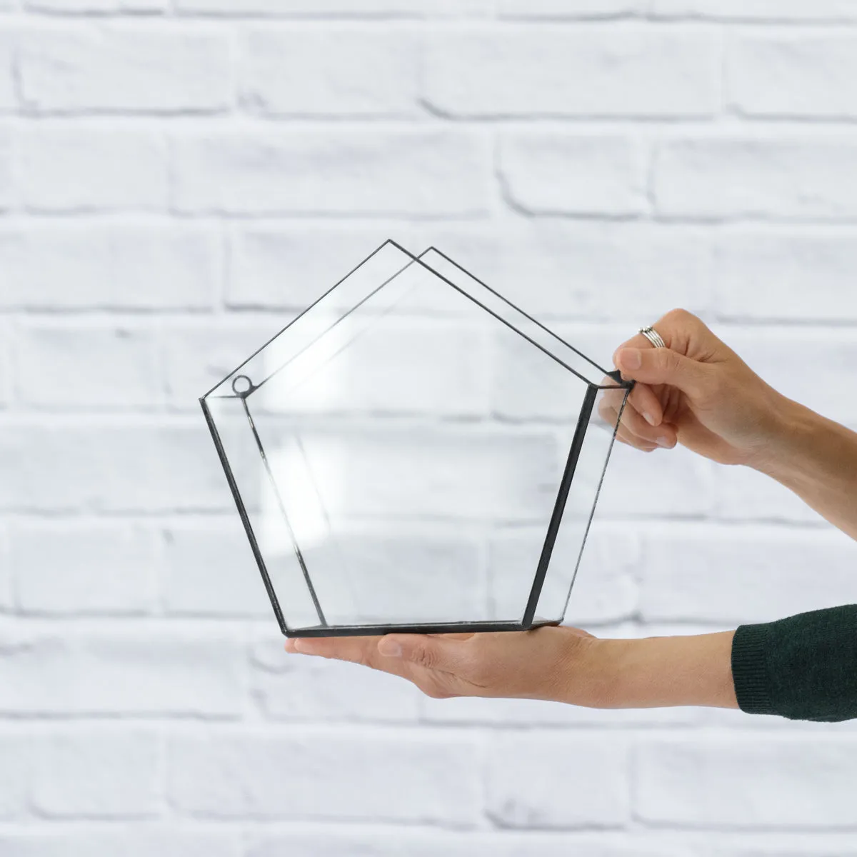Wall Terrarium - Pentagon